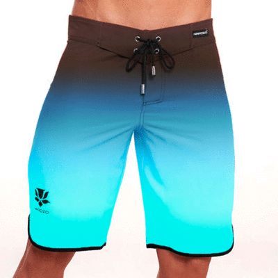 BLUE-PAPILLON-1 BLUE-PAPILLON-1