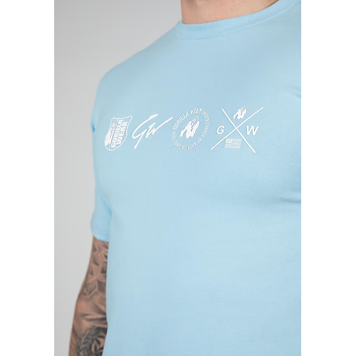 Swanton T-Shirt - Blue 4 Swanton T-Shirt - Blue 4