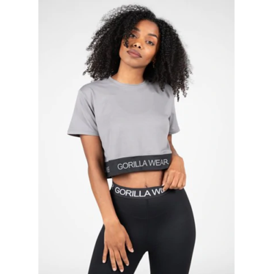 COLBY CROPPED T-SHIRT GRAY 1