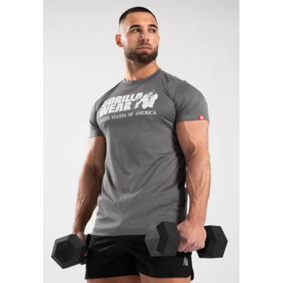 Classic Training T-Shirt Gray Melange 1