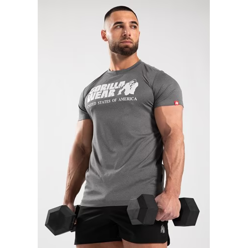 Classic Training T-Shirt Gray Melange 1